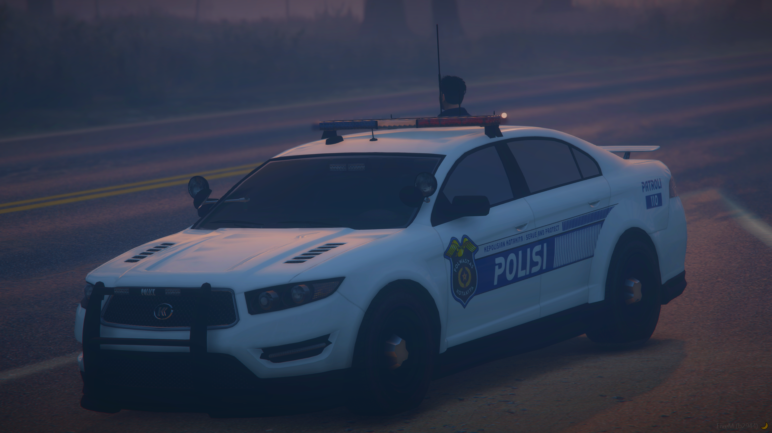 Police Sedan