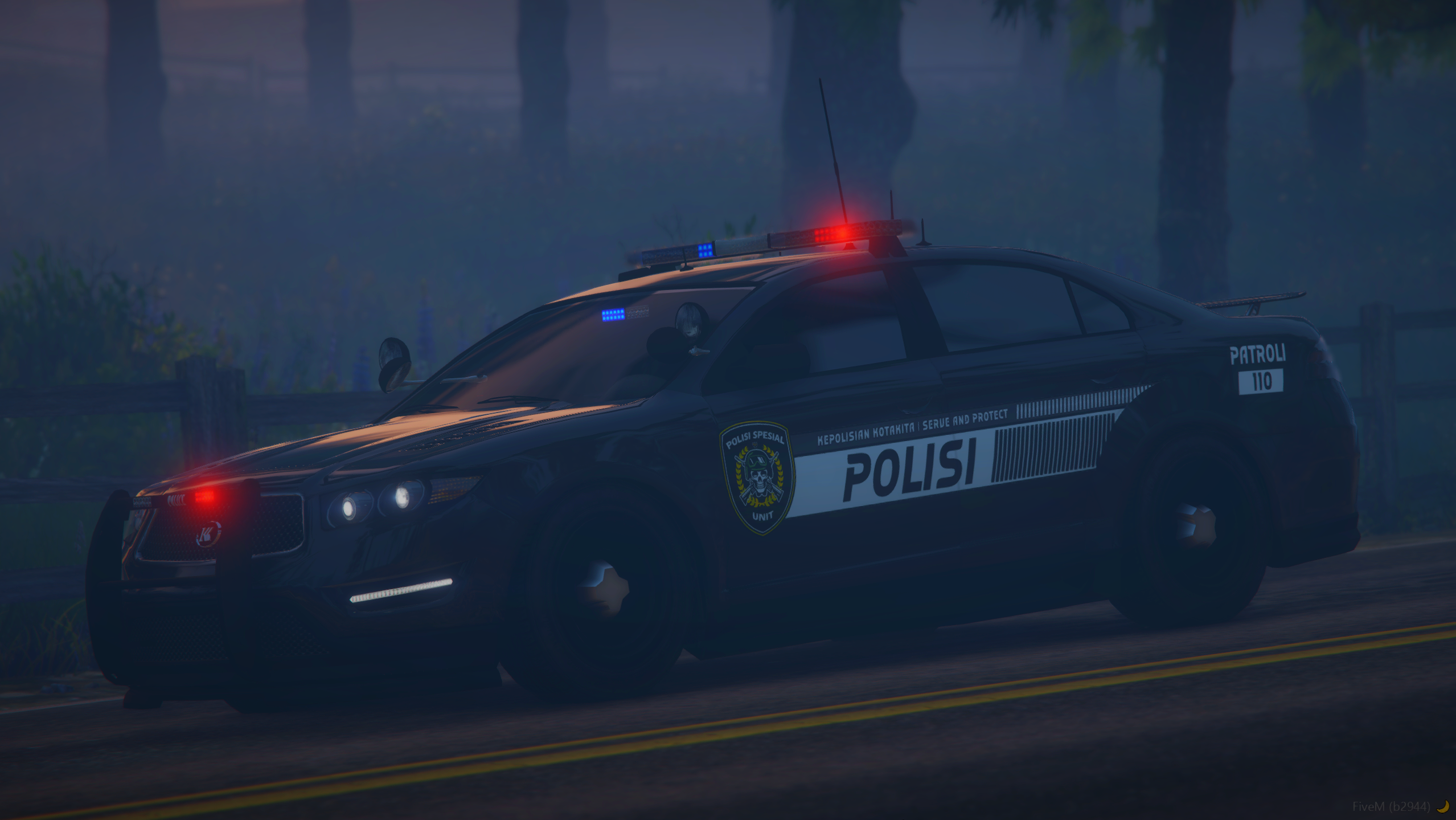 Police Sedan